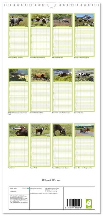 Produktbild: Familienplaner 2026 - K&uuml;he mit H&ouml;rnern mit 5 Spalten (Wandkalender, 21 x 45 cm) CALVENDO