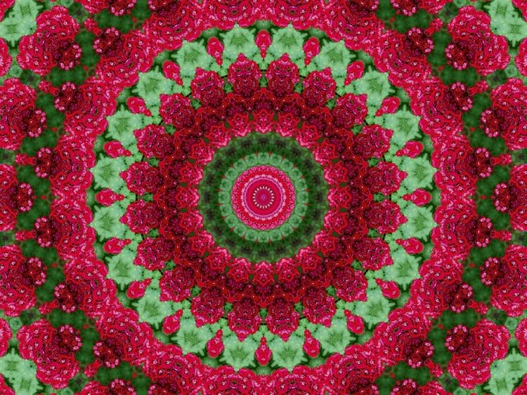 Produktbild: CALVENDO Puzzle Blumen Mandala - Kaleidoskop | 1000 Teile Lege-Gr&ouml;&szlig;e 64x48cm Foto-Puzzle f&uuml;r gl&uuml;ckliche Stunden