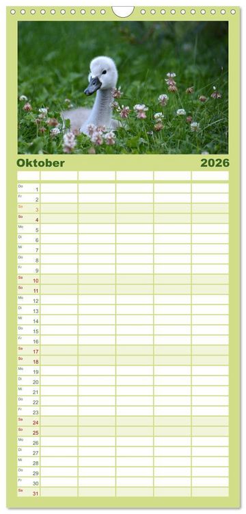 Produktbild: Familienplaner 2026 - Die lieben Kleinen ... Tierkinder einfach zum Knuddeln mit 5 Spalten (Wandkalender, 21 x 45 cm) CALVENDO