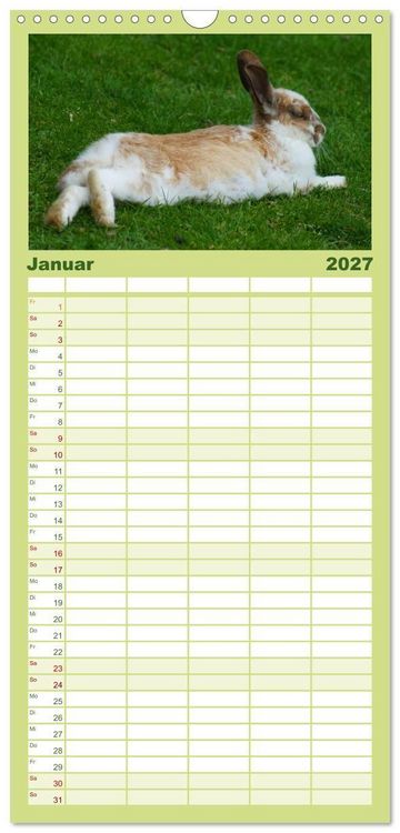 Produktbild: Familienplaner 2027 - Liebenswerte Zwergkaninchen mit 5 Spalten (Wandkalender, 21 x 45 cm) CALVENDO