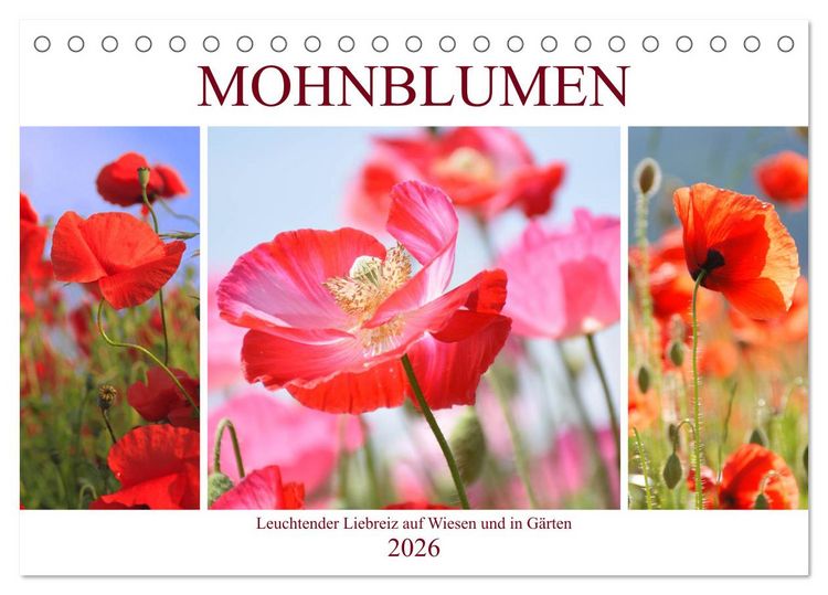 Produktbild: Mohnblumen. Leuchtender Liebreiz auf Wiesen und in G&auml;rten (Tischkalender 2026 DIN A5 quer), CALVENDO Monatskalender