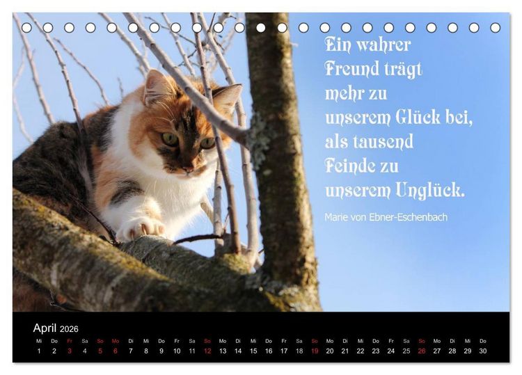 Produktbild: Gl&uuml;ckskatze - Mit Zitaten zum Thema Gl&uuml;ck (Tischkalender 2026 DIN A5 quer), CALVENDO Monatskalender