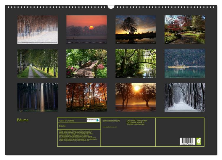 Produktbild: B&auml;ume (Wandkalender 2026 DIN A2 quer), CALVENDO Monatskalender