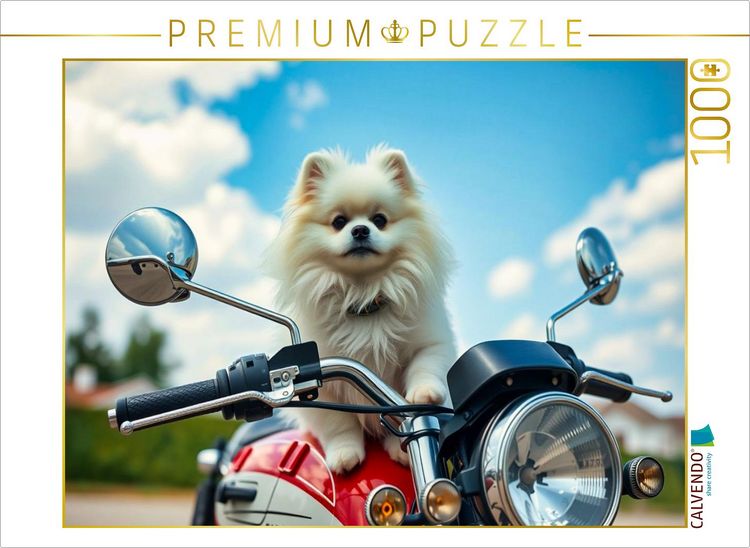 Produktbild: CALVENDO Puzzle Wei&szlig;er Pomeranian | 1000 Teile Lege-Gr&ouml;&szlig;e 64x48cm Foto-Puzzle f&uuml;r gl&uuml;ckliche Stunden