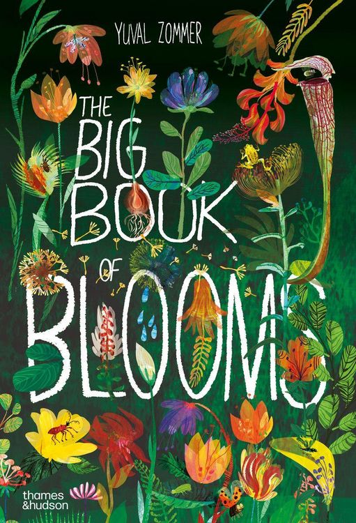 Produktbild: The Big Book of Blooms