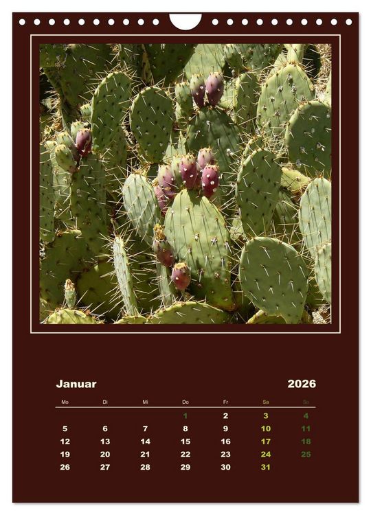 Produktbild: Wilde Kakteen Amerikas (Wandkalender 2026 DIN A4 hoch), CALVENDO Monatskalender
