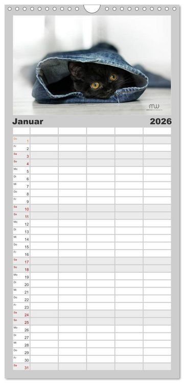 Produktbild: Familienplaner 2026 - Zauberhafte K&auml;tzchen mit 5 Spalten (Wandkalender, 21 x 45 cm) CALVENDO