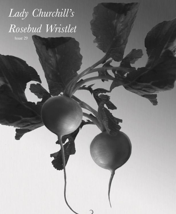 Produktbild: Lady Churchill's Rosebud Wristlet No. 29
