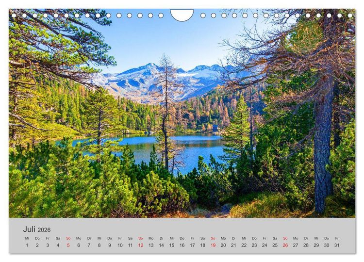 Produktbild: Komm, ich zeige dir den Wald (Wandkalender 2026 DIN A4 quer), CALVENDO Monatskalender