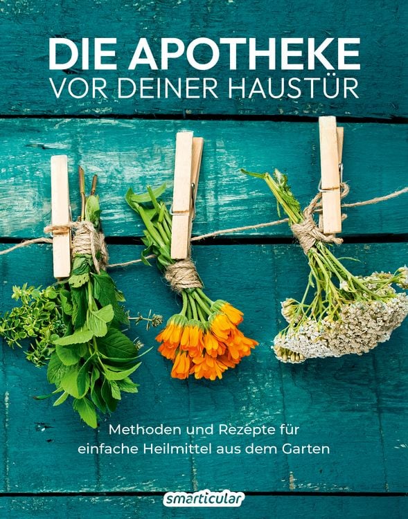 Produktbild: Die Apotheke vor deiner Haust&uuml;r