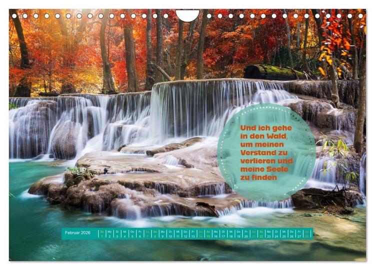 Produktbild: WALD Erholung pur (Wandkalender 2026 DIN A4 quer), CALVENDO Monatskalender