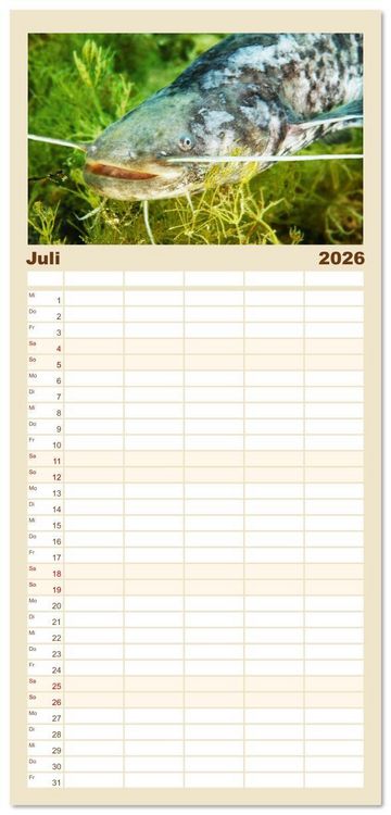 Produktbild: Familienplaner 2026 - Forelle, Hecht und St&ouml;r: Fische in europ&auml;ischen Gew&auml;ssern mit 5 Spalten (Wandkalender, 21 x 45 cm) CALVENDO