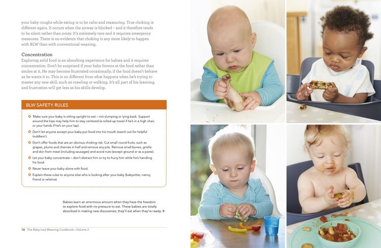 Produktbild: The Baby-Led Weaning Cookbook, Volume Two