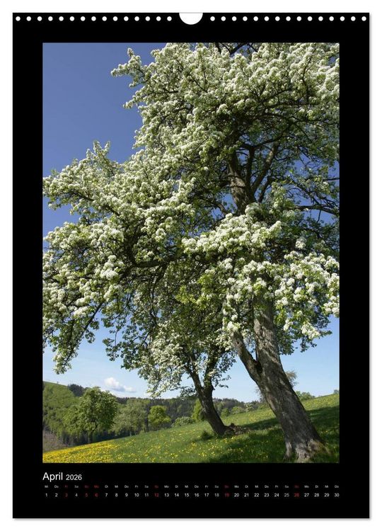 Produktbild: Mythos Baum / 2026 (Wandkalender 2026 DIN A3 hoch), CALVENDO Monatskalender