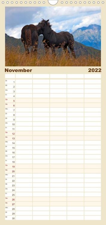 Produktbild: Familienplaner Pferde und Ponys im Paradies (Wandkalender 2022 , 21 cm x 45 cm, hoch)