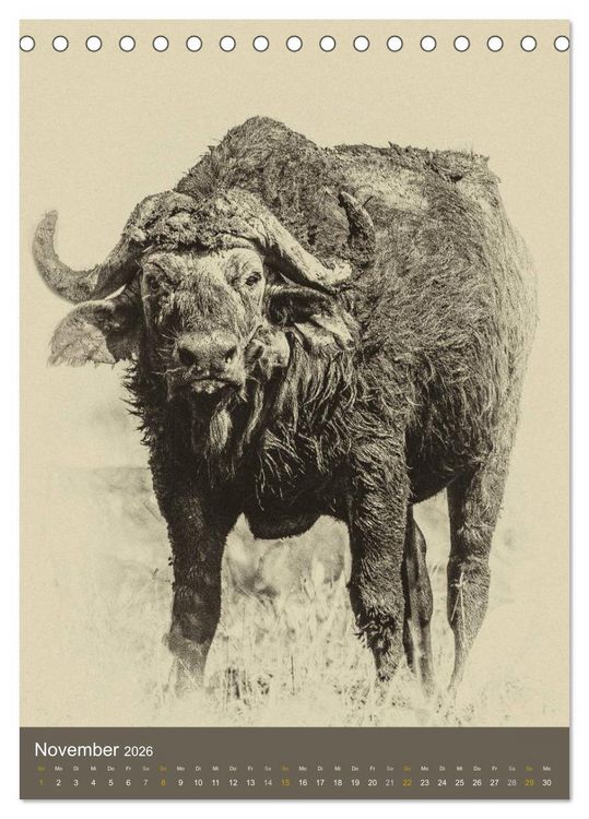 Produktbild: Afrikas Tierwelt - Sepia-Art (Tischkalender 2026 DIN A5 hoch), CALVENDO Monatskalender