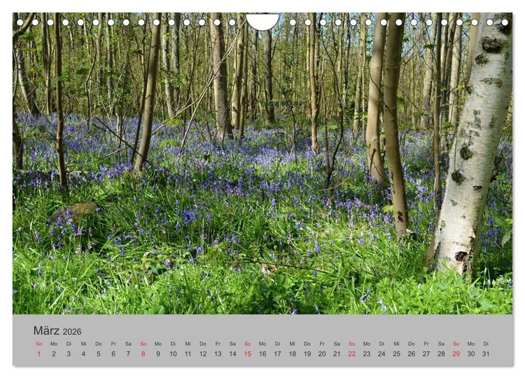 Produktbild: Impressionen von Texel (Wandkalender 2026 DIN A4 quer), CALVENDO Monatskalender