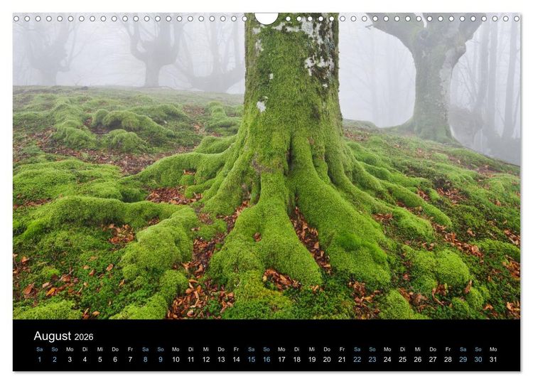 Produktbild: Wildes Europa 2026 (Wandkalender 2026 DIN A3 quer), CALVENDO Monatskalender