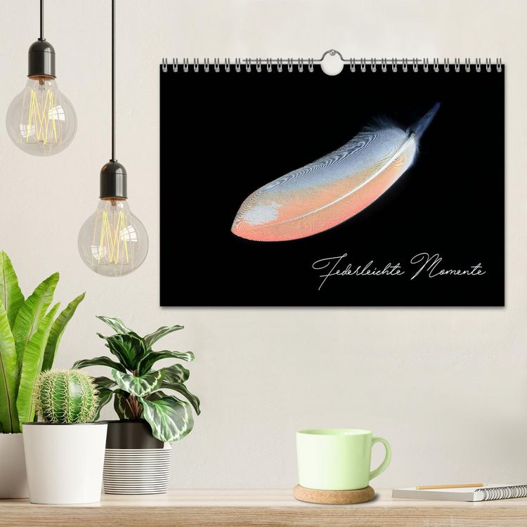 Produktbild: Federleichte Momente (Wandkalender 2026 DIN A4 quer), CALVENDO Monatskalender
