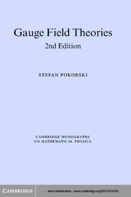 Produktbild: Gauge Field Theories