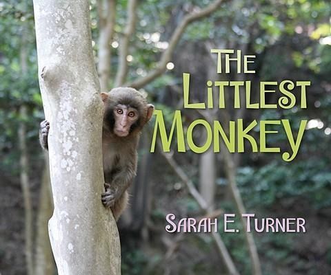 Produktbild: The Littlest Monkey