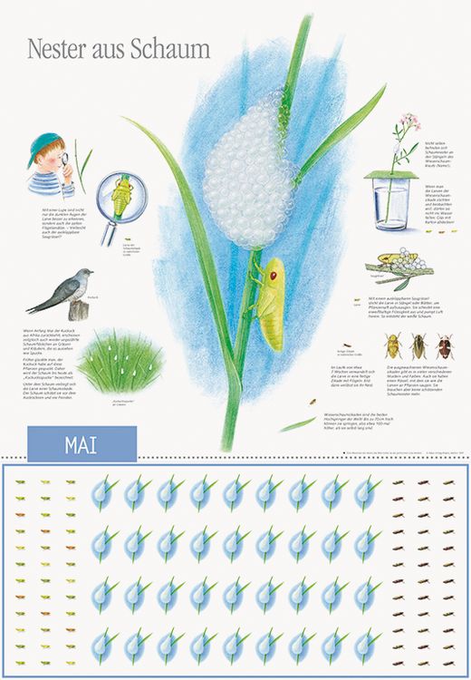 Produktbild: Natur erleben durch das Jahr - 1