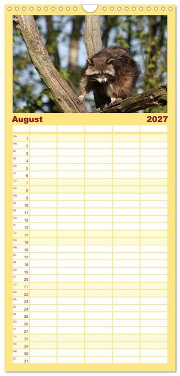 Produktbild: Familienplaner 2027 - Waschb&auml;ren mit 5 Spalten (Wandkalender, 21 x 45 cm) CALVENDO