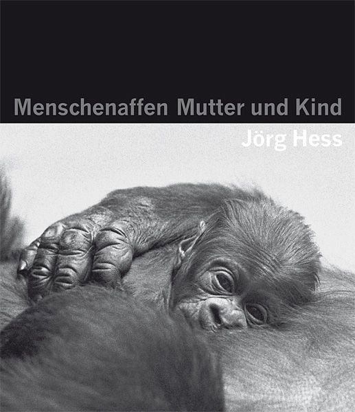 Produktbild: Menschenaffen - Mutter und Kind