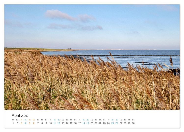 Produktbild: Amrum: Natur und Freiheit (hochwertiger Premium Wandkalender 2026 DIN A2 quer), Kunstdruck in Hochglanz