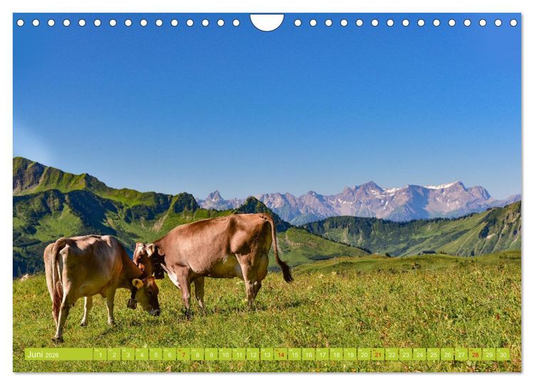 Produktbild: Ein Sommertag in Dam&uuml;ls (Wandkalender 2026 DIN A4 quer), CALVENDO Monatskalender