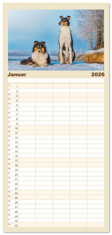 Produktbild: Familienplaner 2026 - Ein Freund f&uuml;rs Leben - Smooth Collie mit 5 Spalten (Wandkalender, 21 x 45 cm) CALVENDO