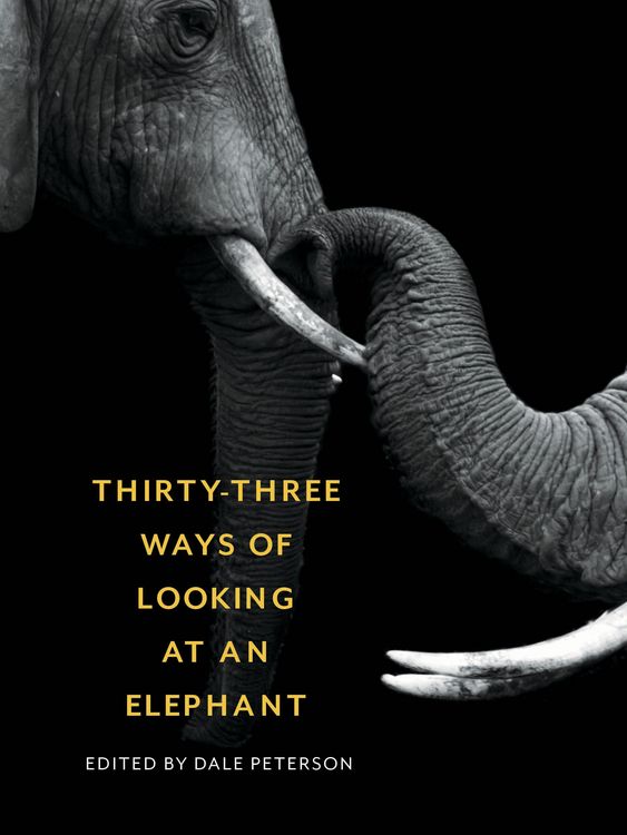 Produktbild: Thirty-Three Ways of Looking at an Elephant