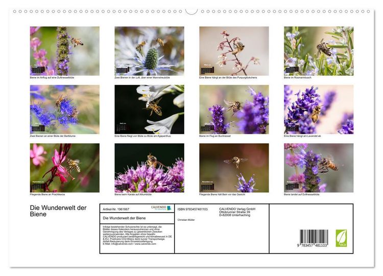 Produktbild: Die Wunderwelt der Biene (hochwertiger Premium Wandkalender 2026 DIN A2 quer), Kunstdruck in Hochglanz