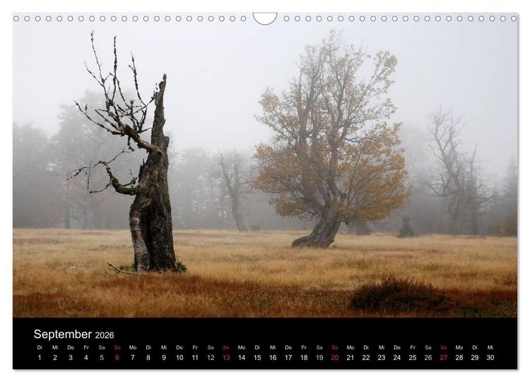 Produktbild: Zauberhafter Bayerischer Wald (Wandkalender 2026 DIN A3 quer), CALVENDO Monatskalender
