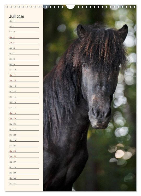 Produktbild: Isl&auml;nder Geburtstagskalender (Wandkalender 2026 DIN A3 hoch), CALVENDO Monatskalender