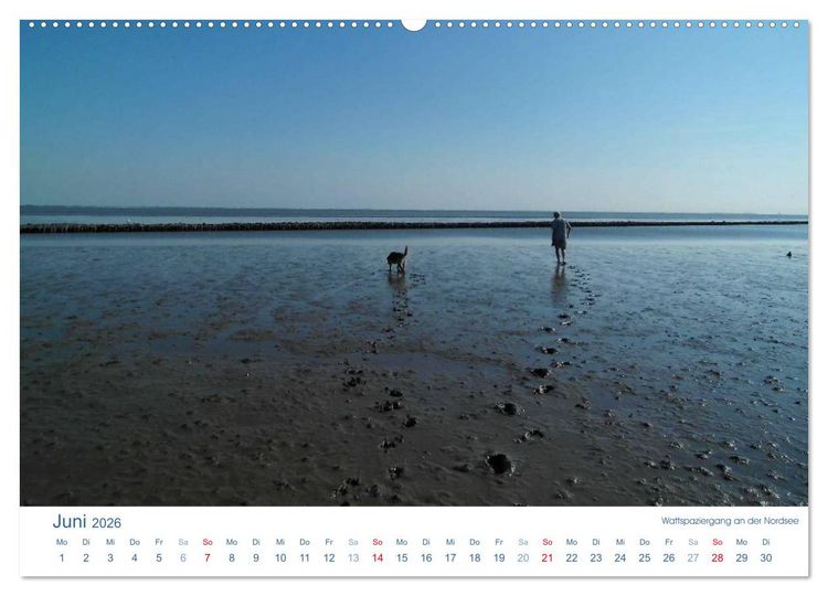 Produktbild: Ebbe und Watt 2026. Impressionen von der Nordseek&uuml;ste (hochwertiger Premium Wandkalender 2026 DIN A2 quer), Kunstdruck in Hochglanz