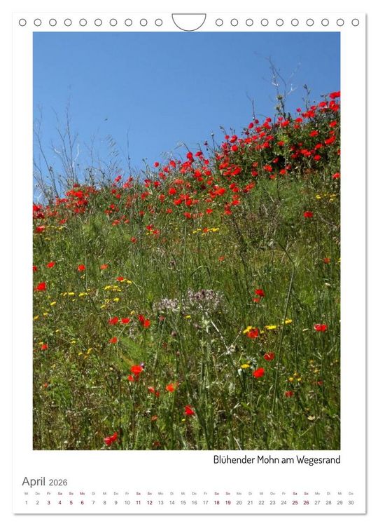 Produktbild: Buen Camino - Unterwegs auf dem Jakobsweg (Wandkalender 2026 DIN A4 hoch), CALVENDO Monatskalender
