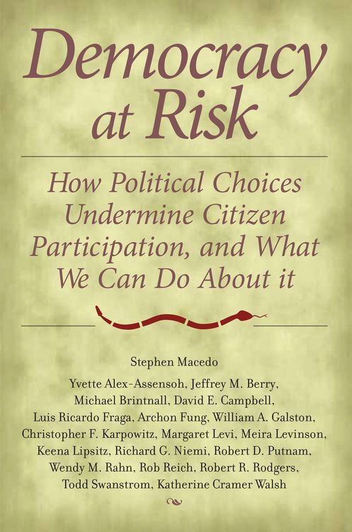 Produktbild: Democracy at Risk