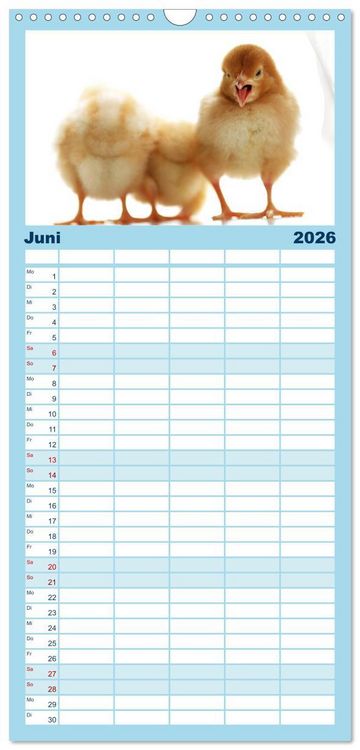 Produktbild: Familienplaner 2026 - K&uuml;ken in der Kinderstube mit 5 Spalten (Wandkalender, 21 x 45 cm) CALVENDO