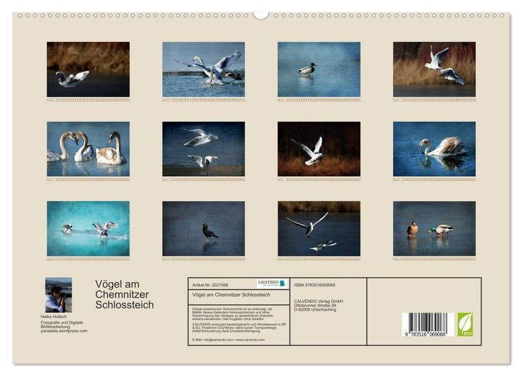 Produktbild: V&ouml;gel am Chemnitzer Schlossteich (hochwertiger Premium Wandkalender 2026 DIN A2 quer), Kunstdruck in Hochglanz