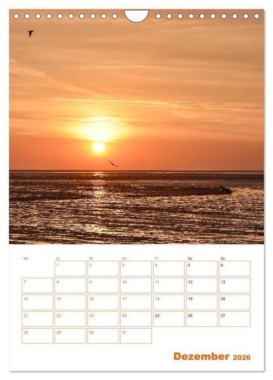 Produktbild: Texel - Momente die verzaubern (Wandkalender 2026 DIN A4 hoch), CALVENDO Monatskalender