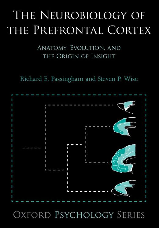 Produktbild: Neurobiology of the Prefrontal Cortex