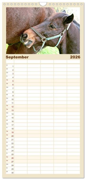 Produktbild: Familienplaner 2026 - Pferde - kraftvolle Eleganz mit 5 Spalten (Wandkalender, 21 x 45 cm) CALVENDO