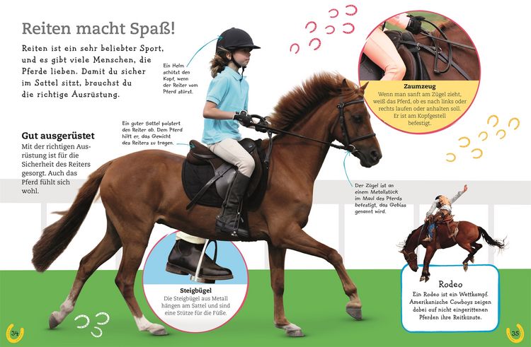 Produktbild: Pferde und Ponys