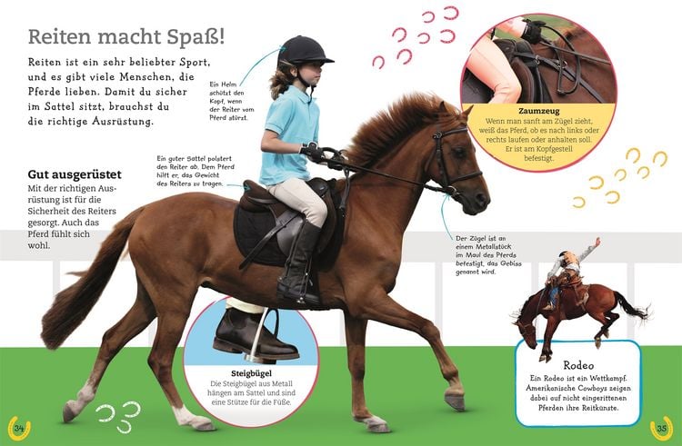 Produktbild: Pferde und Ponys