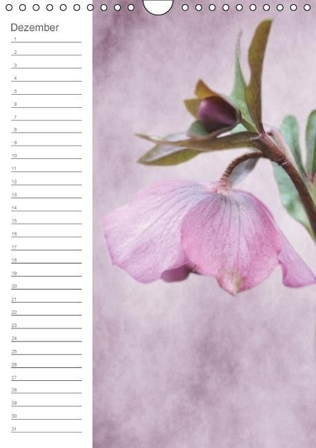 Produktbild: Zarte Bl&uuml;ten / Geburtstagskalender (Wandkalender immerw&auml;hrend DIN A4 hoch)