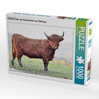Produktbild: CALVENDO Puzzle Highland Cattle, die Hochlandrinder aus Pfeffingen 1000 Teile Lege-Gr&ouml;&szlig;e 64 x 48 cm Foto-Puzzle Bild von G&uuml;nther Geiger