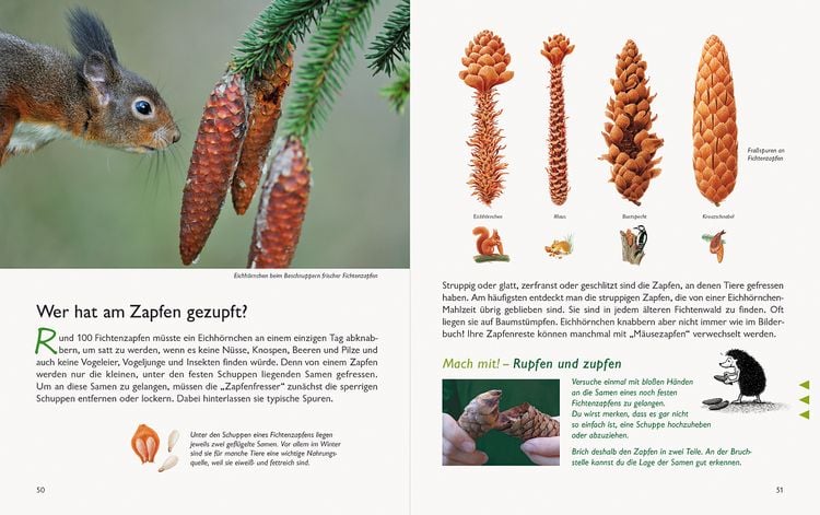 Produktbild: Wawra's Naturbuch &ndash; Unserer Natur auf der Spur, Bd. 1: S&auml;ugetiere, V&ouml;gel, Reptilien, Amphibien