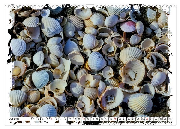Produktbild: Zingst Sehnsucht nach Meer (Wandkalender 2026 DIN A3 quer), CALVENDO Monatskalender