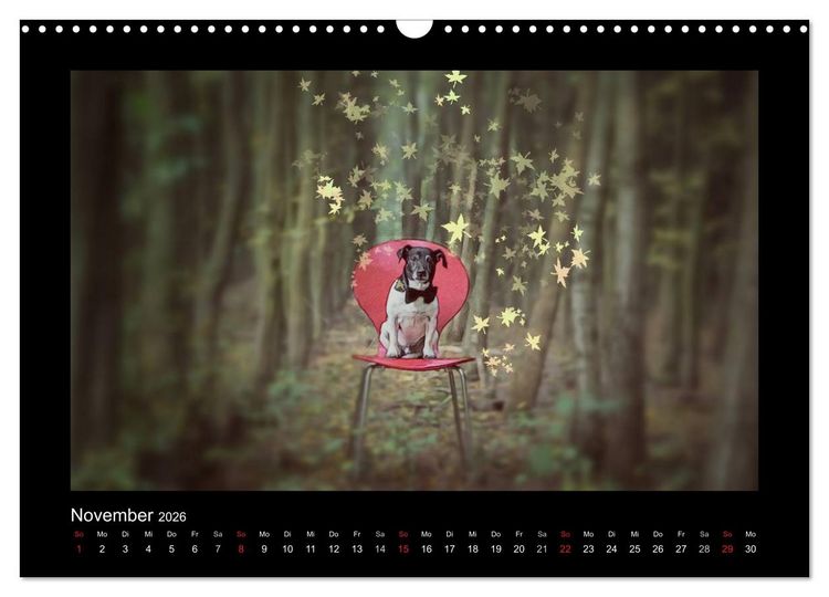 Produktbild: Jack Russell Terrier.....Ein Verwandlungsk&uuml;nstler namens Jake (Wandkalender 2026 DIN A3 quer), CALVENDO Monatskalender